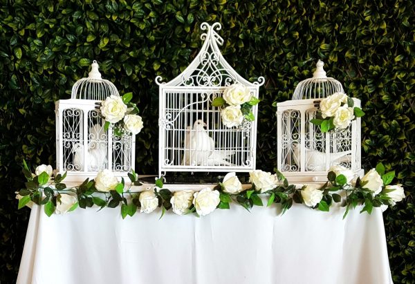 FUNERALS – Doves with Love